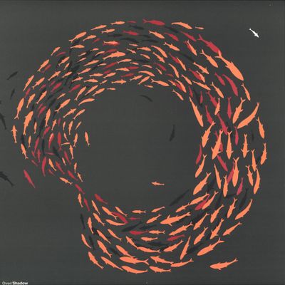 Vromm — Molecular vinyl cover