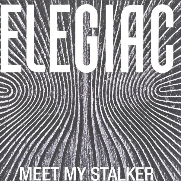 Elegiac — MEET MY STALKER vinyl cover