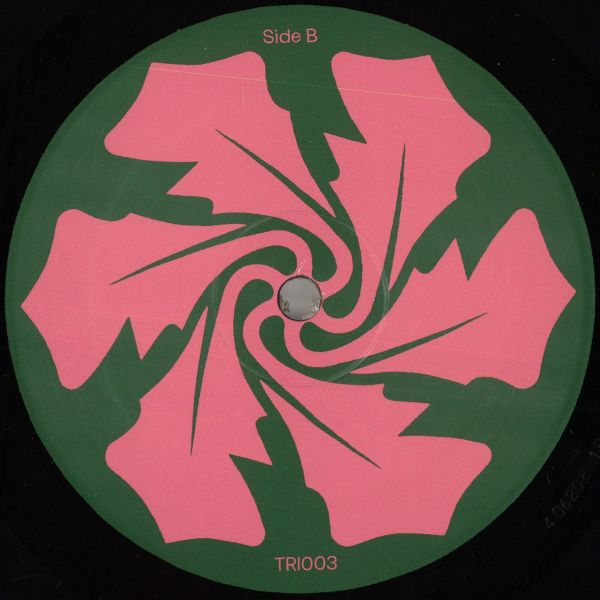 Verlake — Echoing vinyl cover