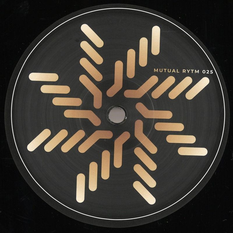 Steve Redhead — Cosmic Alchemy vinyl cover