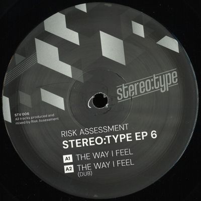 Risk Assessment — Stereo:type EP 6 vinyl cover