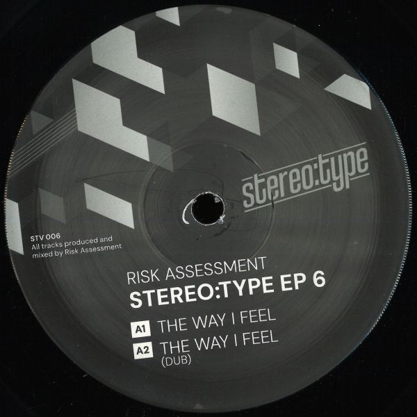 Risk Assessment — Stereo:type EP 6 vinyl cover