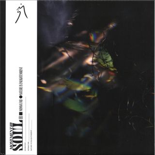Nonna Fab — NATURE IS ENLIGHTENMENT vinyl cover