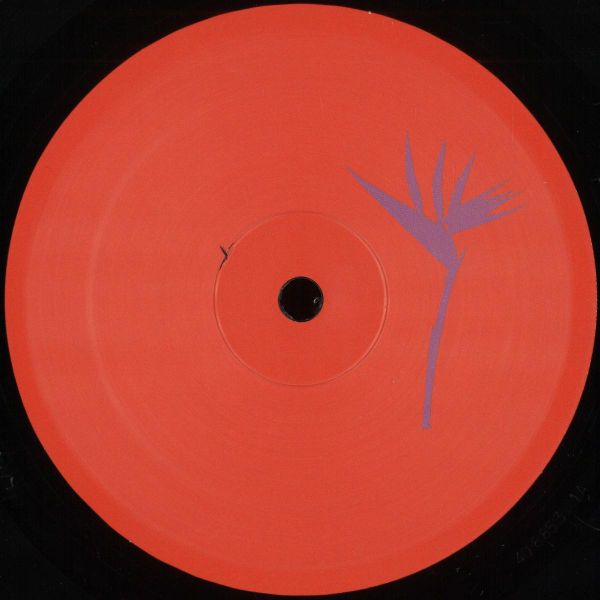 Domo (ES) — Nonsense EP vinyl cover