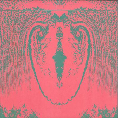 Anatolian Weapons — EARTH LP vinyl cover