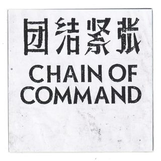 Chain Of Command — SOME ASPECTS vinyl cover