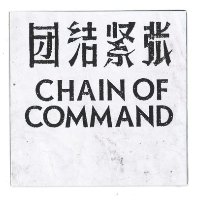 Chain Of Command — SOME ASPECTS vinyl cover