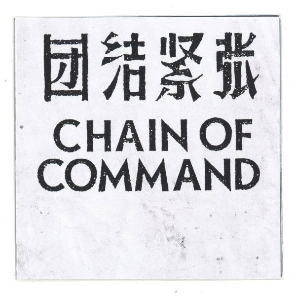 Chain Of Command — SOME ASPECTS vinyl cover