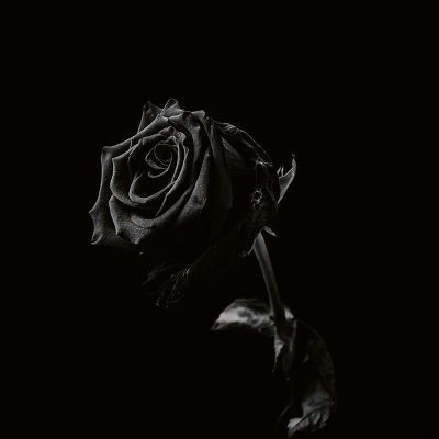 Viclan — Healing Wounds MC vinyl cover