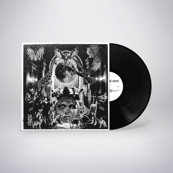 Never — THE GRAY LP vinyl cover