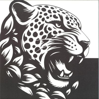 Various — Nadie Nos Va A Parar vinyl cover
