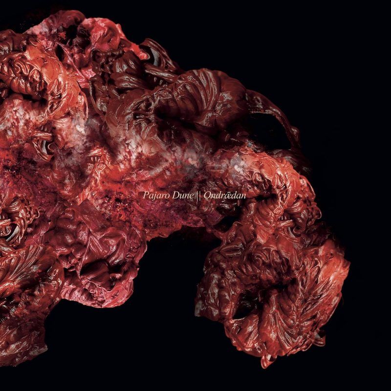 Pajaro Dune — Ondrǣdan vinyl cover