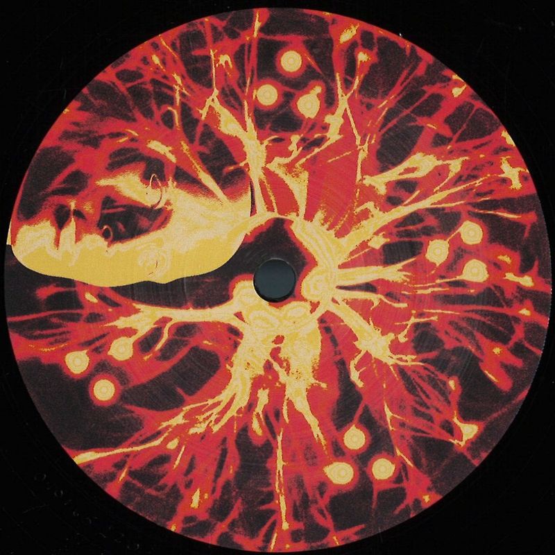 Various — Taboo Tribe Vol. 1 vinyl cover