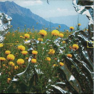 N Kramer, Magnus Bang Olsen — PASTORAL BLEND vinyl cover