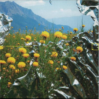 N Kramer, Magnus Bang Olsen — PASTORAL BLEND vinyl cover
