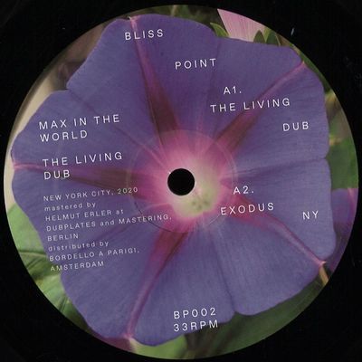 Max In The World — THE LIVING DUB EP vinyl cover