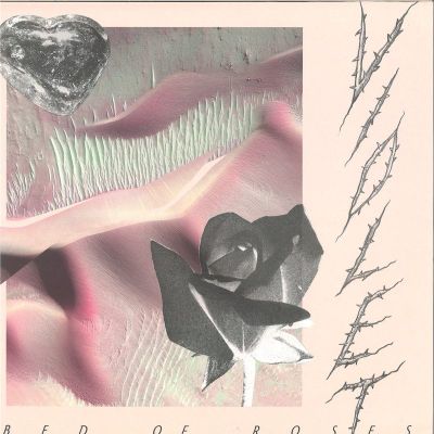 Violet — Bed Of Roses vinyl cover