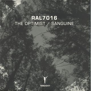 Ral7016 — The Optimist / Sanguine vinyl cover