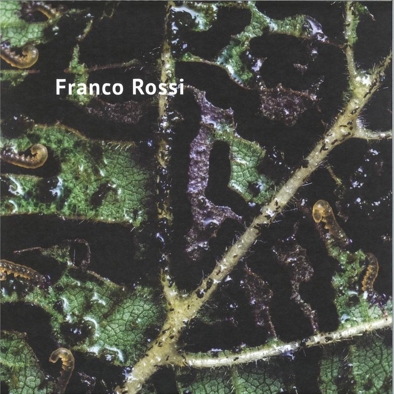 Franco Rossi — Vaalbara vinyl cover