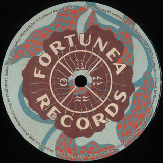 Petals In Sound — Days vinyl cover
