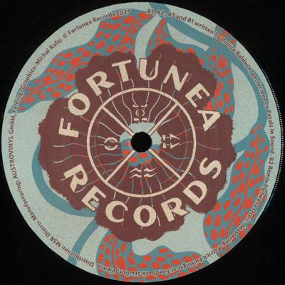 Petals In Sound — Days vinyl cover