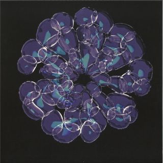Forest On Stasys — Lotus Island EP vinyl cover