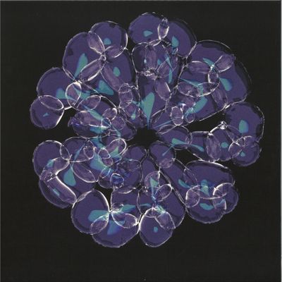 Forest On Stasys — Lotus Island EP vinyl cover