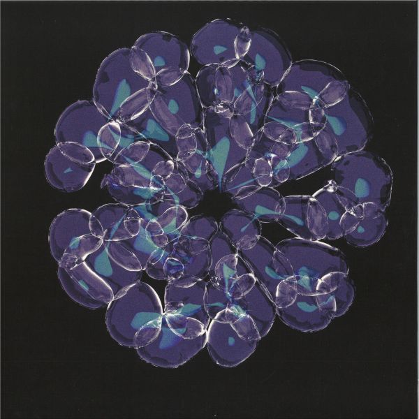 Forest On Stasys — Lotus Island EP vinyl cover