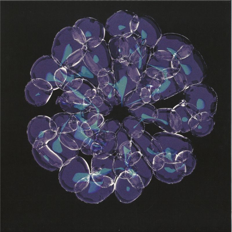 Forest On Stasys — Lotus Island EP vinyl cover