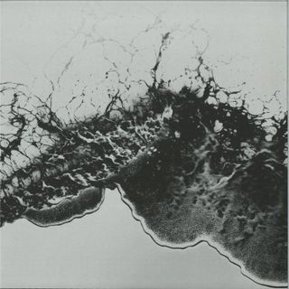 Acheronte — Plastic Thoughts vinyl cover