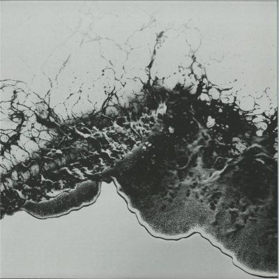 Acheronte — Plastic Thoughts vinyl cover
