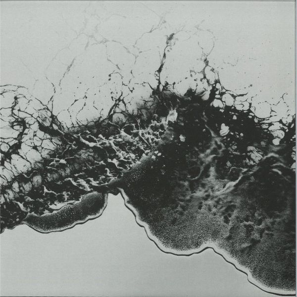 Acheronte — Plastic Thoughts vinyl cover