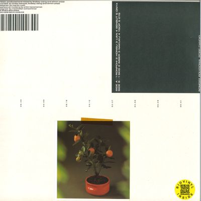 Polygonia, Popp — Candid LP vinyl cover