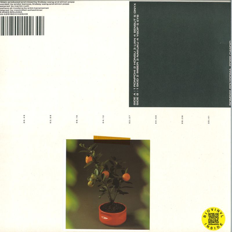 Polygonia, Popp — Candid LP vinyl cover