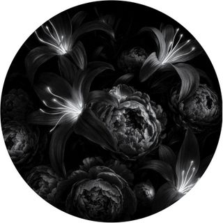 Pyramidal Decode — Origini vinyl cover