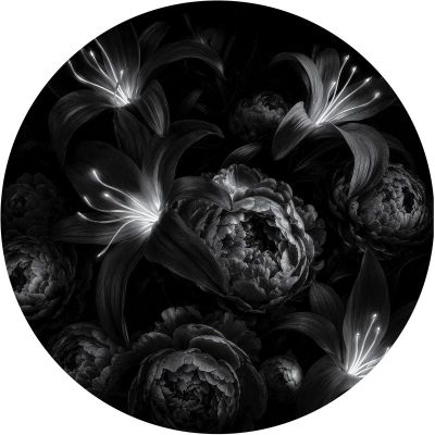 Pyramidal Decode — Origini vinyl cover
