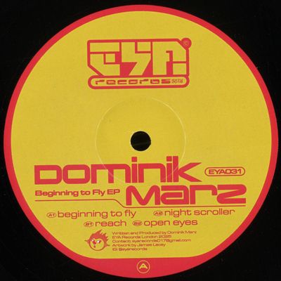 Dominik Marz — Beginning To Fly EP vinyl cover