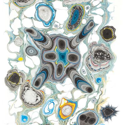Khôra, Mas Aya — Primordial Mind vinyl cover