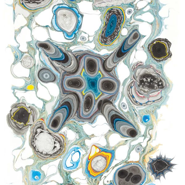 Khôra, Mas Aya — Primordial Mind vinyl cover