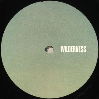 Response, Pliskin — Fresh Memory EP vinyl cover