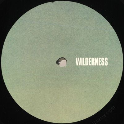 Response, Pliskin — Fresh Memory EP vinyl cover