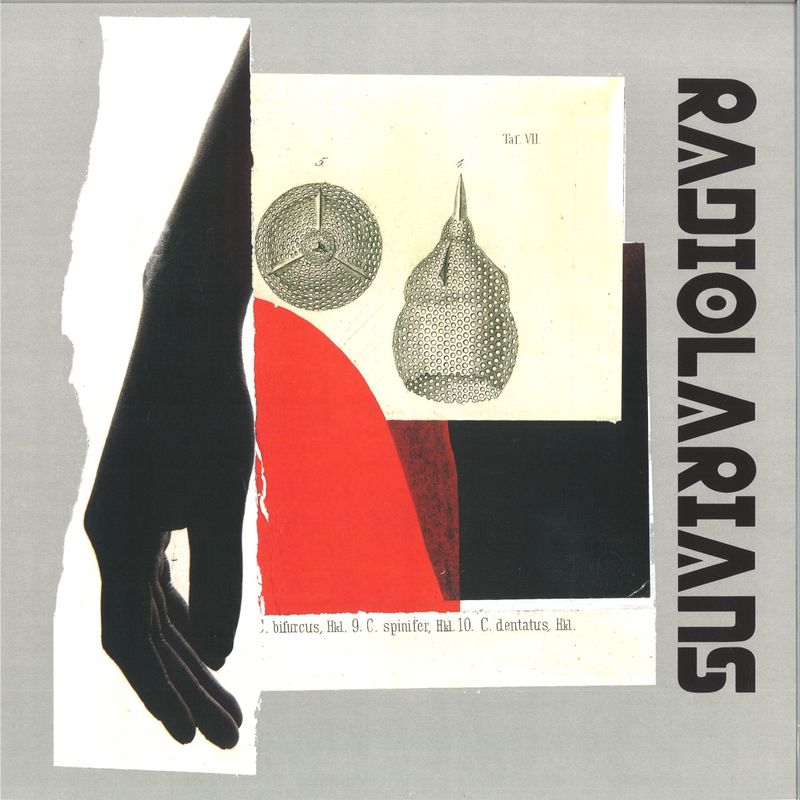 Radiolarians — Radiolarians LP vinyl cover