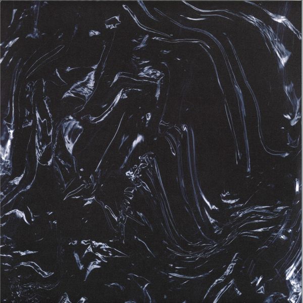 Various — VEIL OF ECHOES I (2x12") vinyl cover