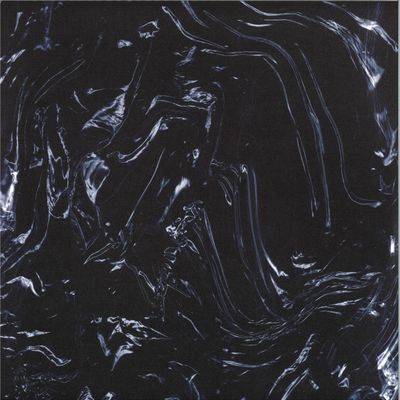Various — VEIL OF ECHOES I (2x12") vinyl cover