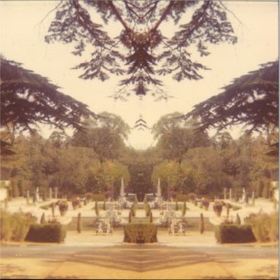 Tom James Scott — NIGHTSHADE vinyl cover