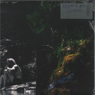 Myrddin, Imre — ZWALUWE LP vinyl cover