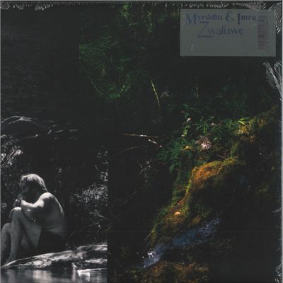 Myrddin, Imre — ZWALUWE LP vinyl cover
