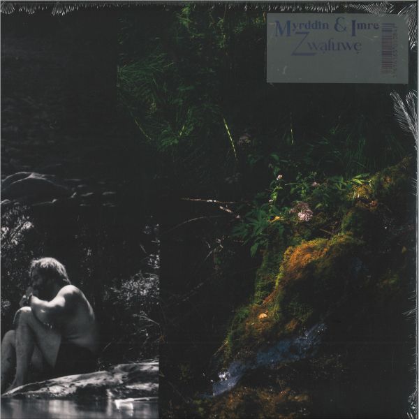Myrddin, Imre — ZWALUWE LP vinyl cover