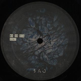 Kashpitzky — Crossing Path vinyl cover
