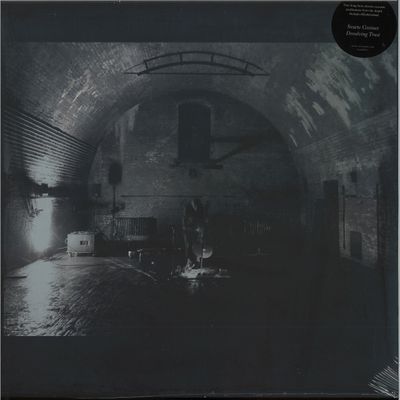 Svarte Greiner — Devolving Trust LP vinyl cover